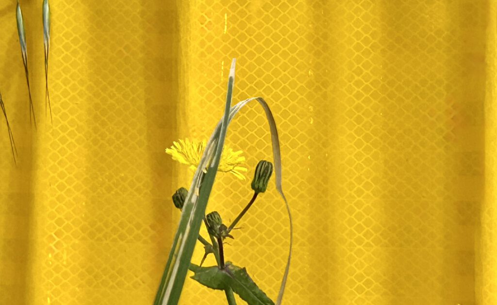 Ich fühle mich wie das Foto, das ich inzwischen machte.